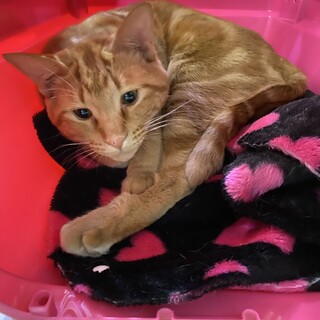 ☆人が大好きなやっくん☆