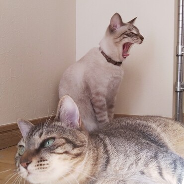 の写真