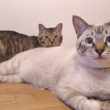 の写真