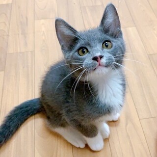 ９/27水道橋★さぶくん★マイペースなおっとりさん