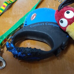 「なんやこうやで二週間直前」サムネイル3