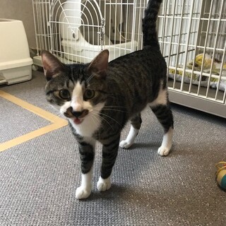 「俺だけを見て！！」きじのしん