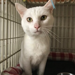 甘え上手な「ダデちゃん☆」