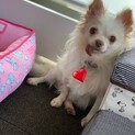 ゆっくり付き合ってあげてね✩愛らしいおはぎちゃん