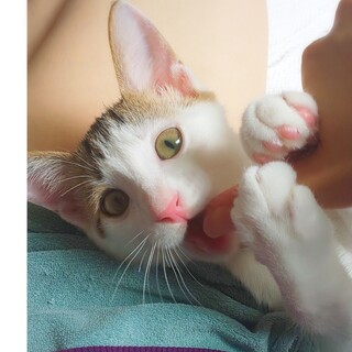 【一旦募集停止】ひょうきん者の " しー君 "