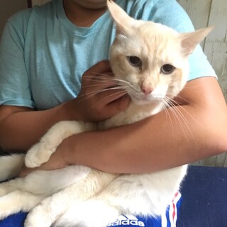 人が大好き❤️