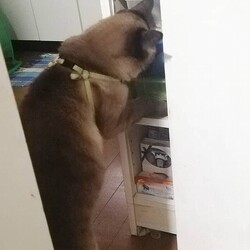 「早朝から」サムネイル1