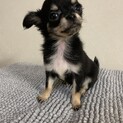 ♡♡あたち、、うーたんです♡♡
