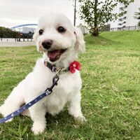 なぎ