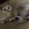 大事育ててくれる方
