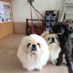 「みんな幸せに・・」サムネイル2