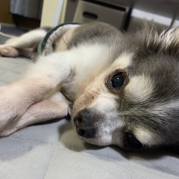 の写真