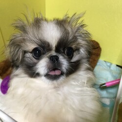 「みんな幸せに・・」サムネイル3