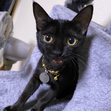 の写真