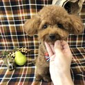 ☆再募集☆ 人懐っこくて陽気なおうじくん！