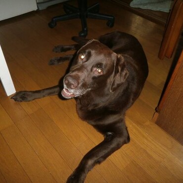 甘えん坊さんです