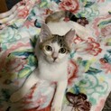 おめめがクリクリ♡