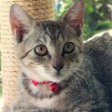 遊ぶの大好き！アリーナちゃん（動画あり）