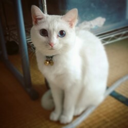 ＴＮＲ前の調査にて。