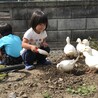 の写真