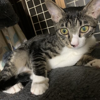 でっかい耳がチャームポイント♡