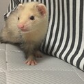 たくさんのご応募ありがとうございました