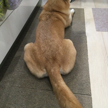 の写真