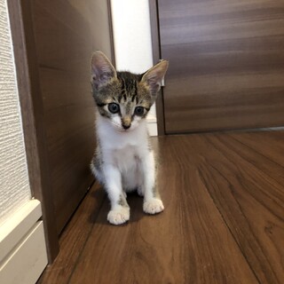 生後２か月☆と〜っても甘えん坊なしずちゃん