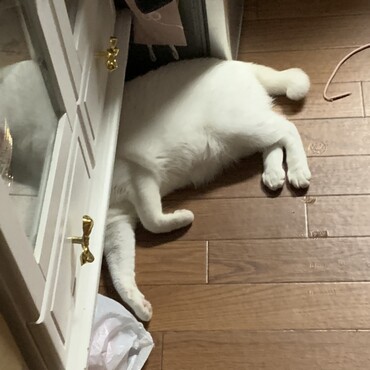 何をしてるのかなぁ？？