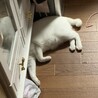 何をしてるのかなぁ？？