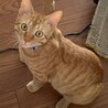 呼んだら何？