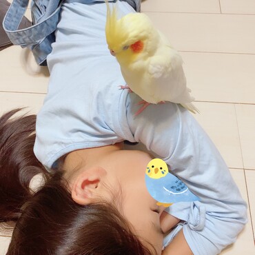 仲良くお昼寝