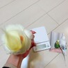 体重測定拒否ブルブル