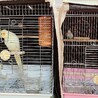 夜中寒くなってきたのでヒーター準備
