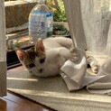 生後３ヶ月の甘えん坊くん