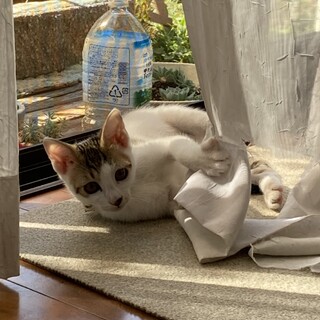 生後３ヶ月の甘えん坊くん