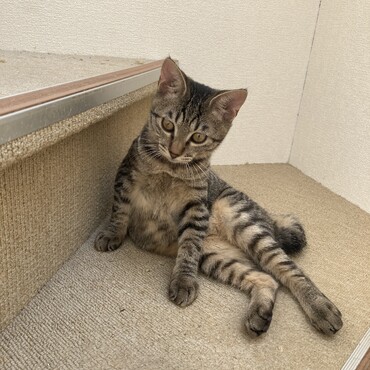の写真