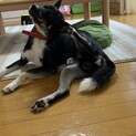 急いでいます。