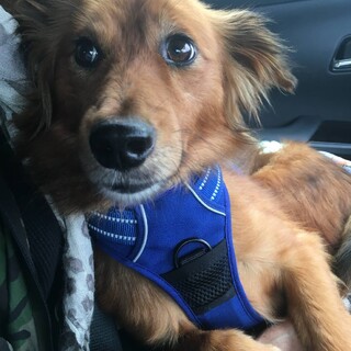 ストーカーの様に甘える幸來君★