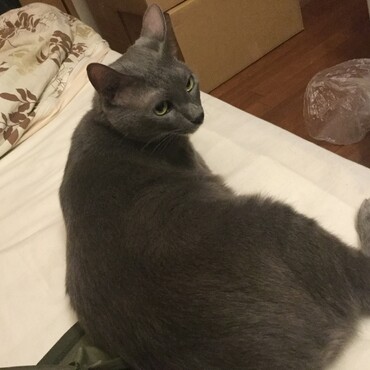 の写真