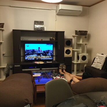 の写真