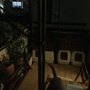 の写真