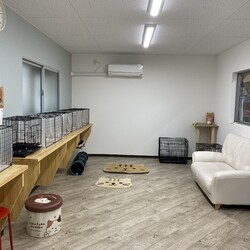 保護猫たちとのふれあいサロン(相談会) サムネイル2