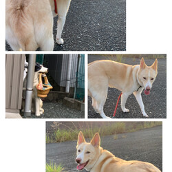 「反抗期だから？」サムネイル2