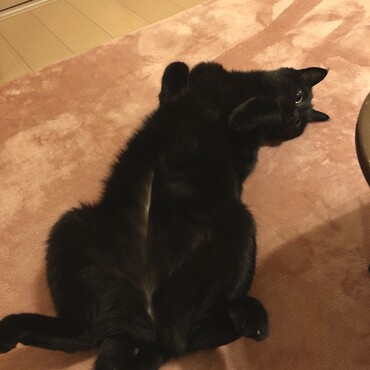 の写真