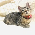 むちむちボディの魅力的なドラちゃん!!