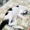 前髪パッツンが可愛いすーちゃん!!