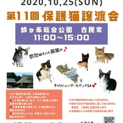 第１１回保護猫譲渡会in山口県