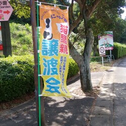 第１１回保護猫譲渡会in山口県 サムネイル3
