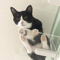ひまりちゃん♀